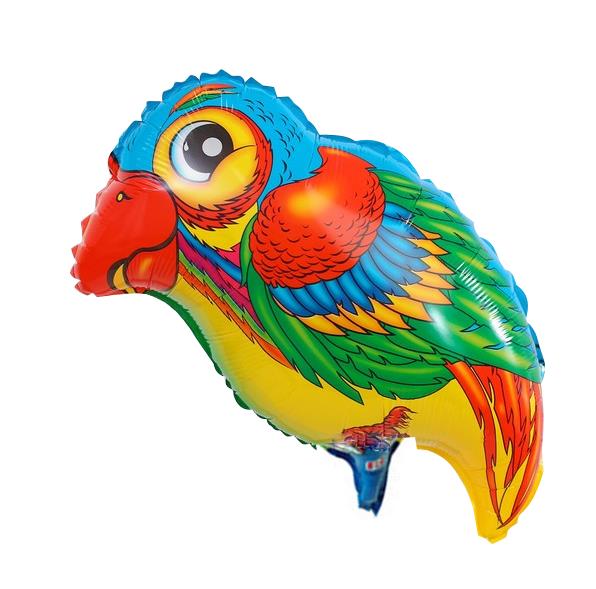 Papağan Folyo Balon 61*39